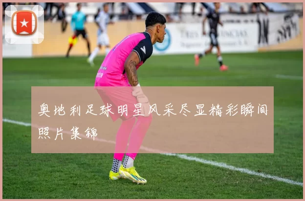 奥地利足球明星风采尽显精彩瞬间照片集锦