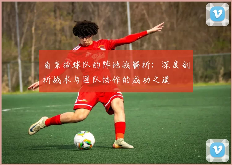 南京排球队的阵地战解析：深度剖析战术与团队协作的成功之道