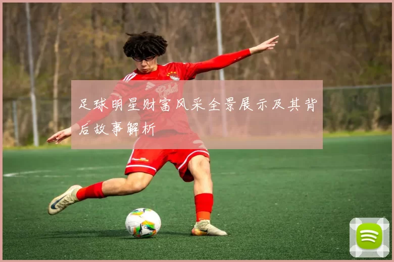 足球明星财富风采全景展示及其背后故事解析