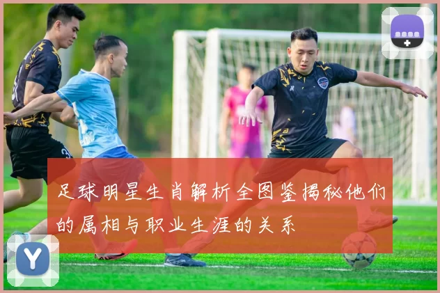 足球明星生肖解析全图鉴揭秘他们的属相与职业生涯的关系