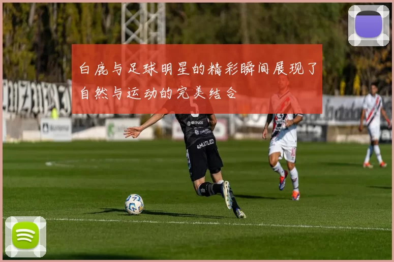白鹿与足球明星的精彩瞬间展现了自然与运动的完美结合