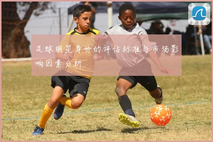足球明星身价的评估标准与市场影响因素分析