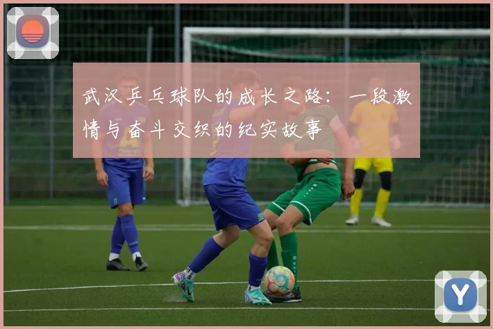 武汉乒乓球队的成长之路：一段激情与奋斗交织的纪实故事