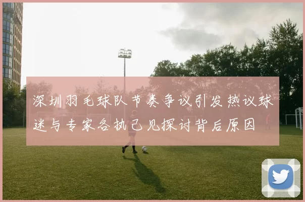 深圳羽毛球队节奏争议引发热议球迷与专家各执己见探讨背后原因