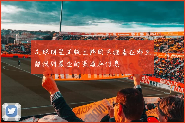 足球明星正版立牌购买指南在哪里能找到最全的渠道和信息