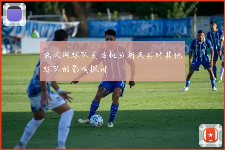 武汉网球队灵活性分析及其对其他球队的影响探讨