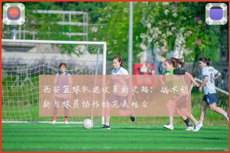 西安篮球队进攻革新之路：战术创新与球员协作的完美结合