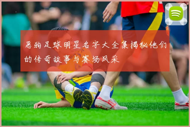 恶狗足球明星名字大全集揭秘他们的传奇故事与赛场风采