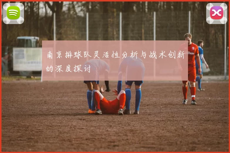 南京排球队灵活性分析与战术创新的深度探讨