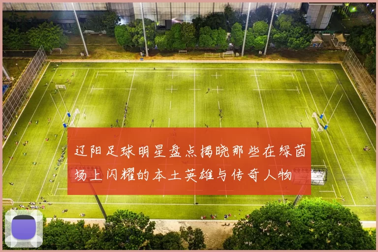辽阳足球明星盘点揭晓那些在绿茵场上闪耀的本土英雄与传奇人物