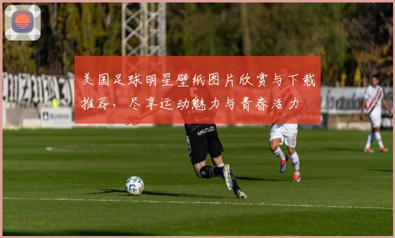 美国足球明星壁纸图片欣赏与下载推荐，尽享运动魅力与青春活力