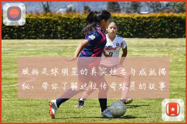 狼狗足球明星的真实姓名与成就揭秘，带你了解这位传奇球员的故事