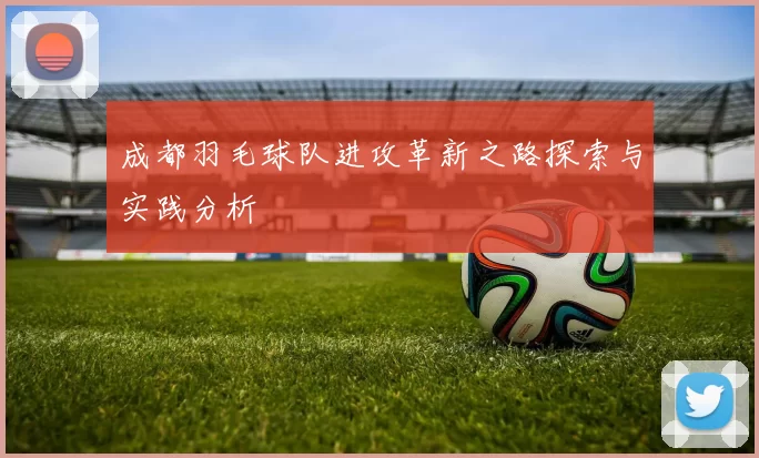成都羽毛球队进攻革新之路探索与实践分析