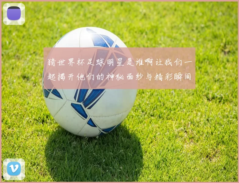 猜世界杯足球明星是谁啊让我们一起揭开他们的神秘面纱与精彩瞬间