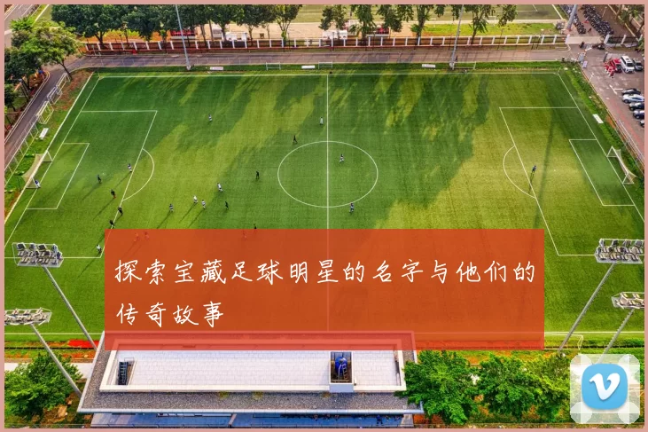 探索宝藏足球明星的名字与他们的传奇故事
