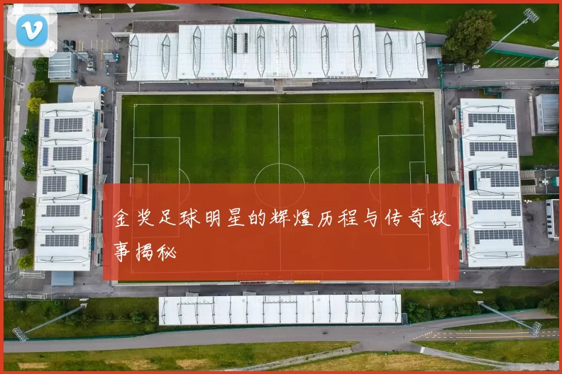 金奖足球明星的辉煌历程与传奇故事揭秘