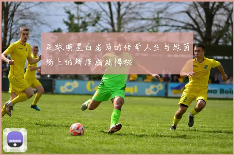 足球明星白龙马的传奇人生与绿茵场上的辉煌成就揭秘