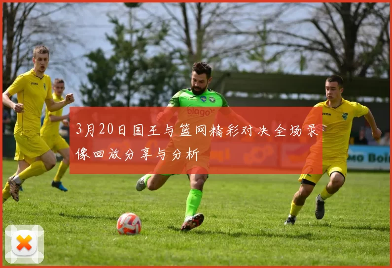 3月20日国王与篮网精彩对决全场录像回放分享与分析