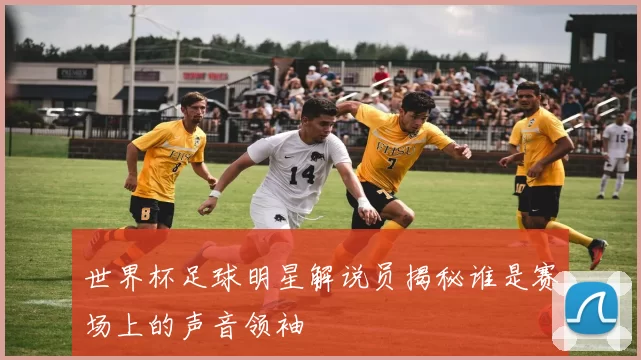 世界杯足球明星解说员揭秘谁是赛场上的声音领袖