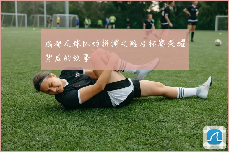 成都足球队的拼搏之路与杯赛荣耀背后的故事